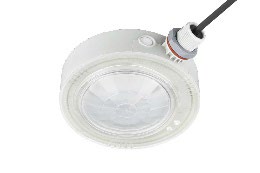 DA-ORANGEROOT - Image 13