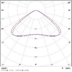 DA-ORANGEROOT - Image 22