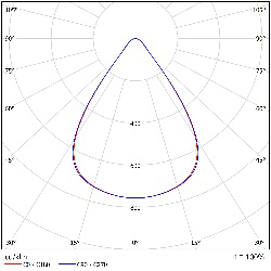 DA-ORANGEROOT - Image 32