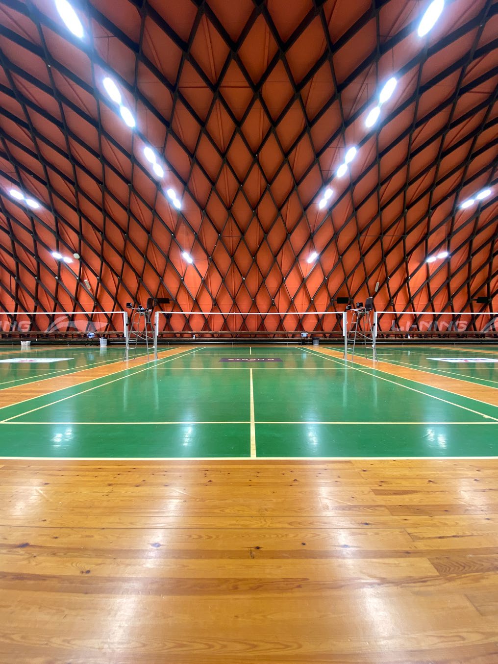 DA-ORANGEROOT - Image 36