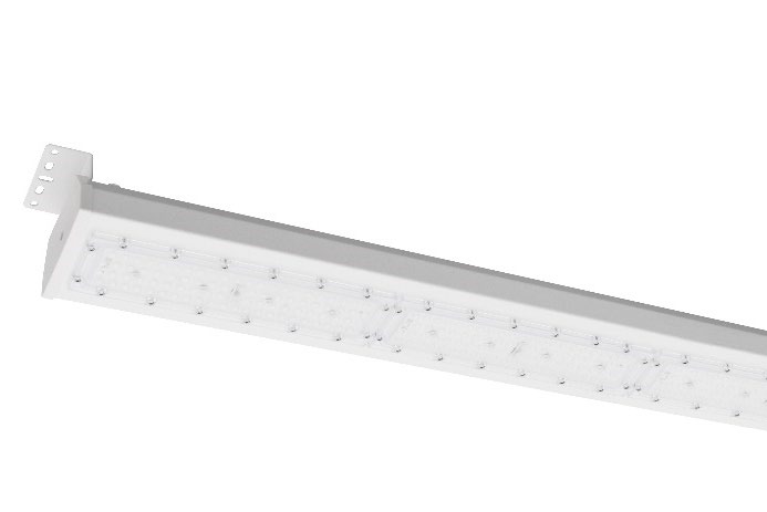 DA-OSIERSALIX - Image 6