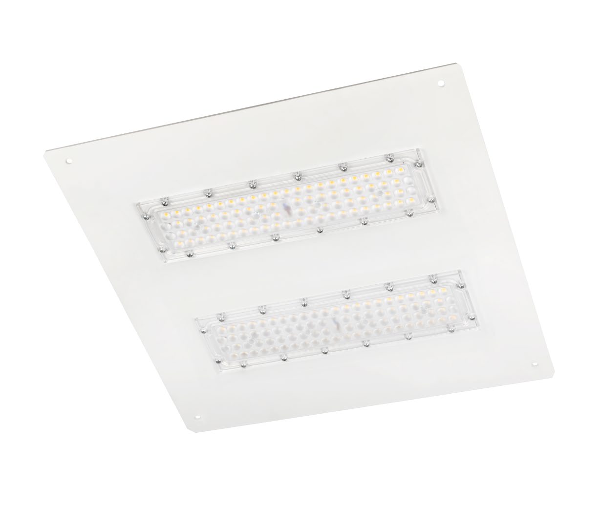 DA-PENNYHEDGE - Image 2