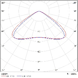 DA-PENNYHEDGE - Image 8