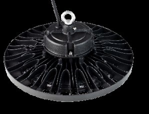 DA-PETTYMOREL - Image 6