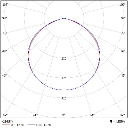 DA-RIVERMAPLE  LED - Image 11