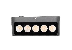 DA-SWAMPHOLLY LED - Image 4