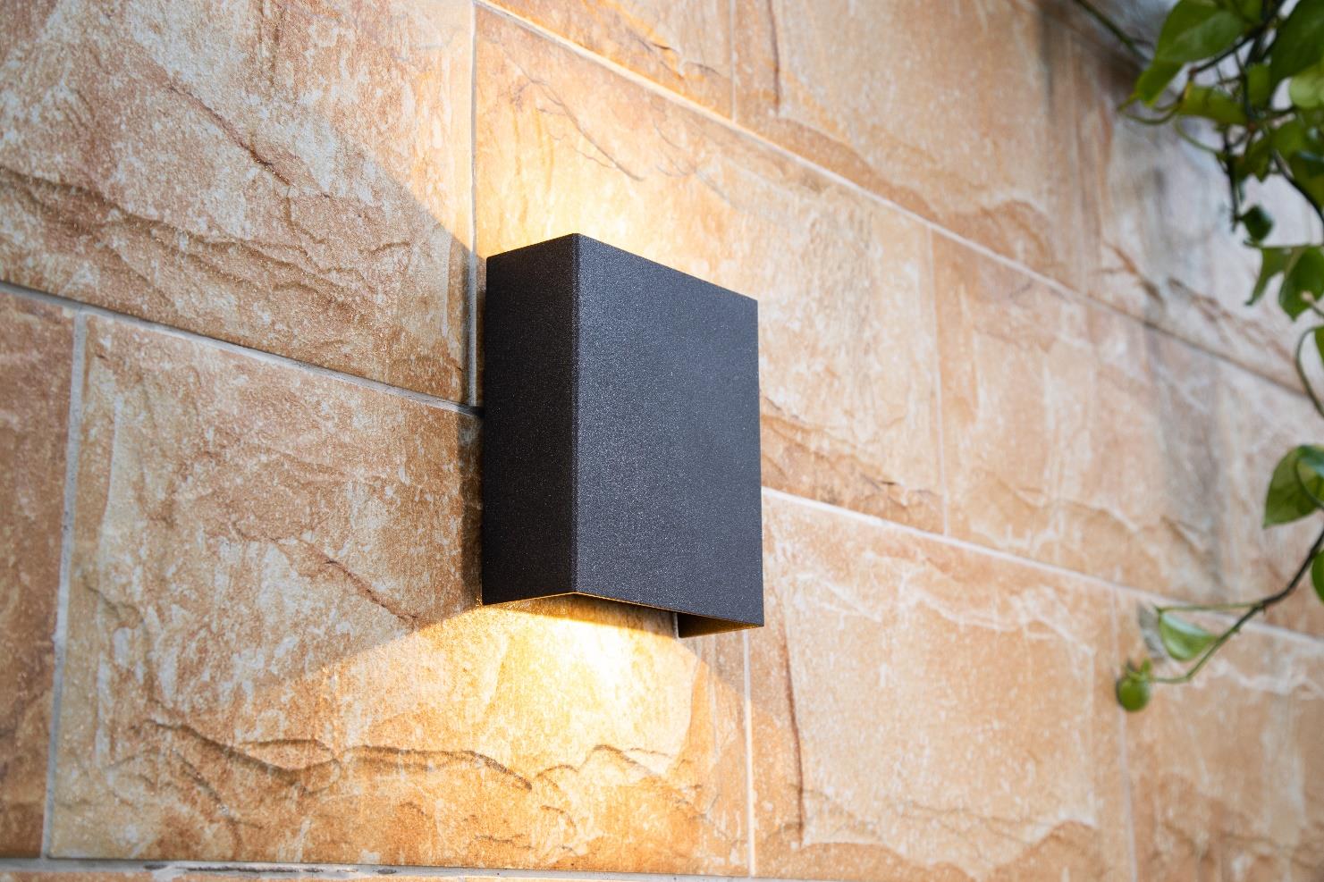 DA-SWAMPHOLLY LED - Image 16