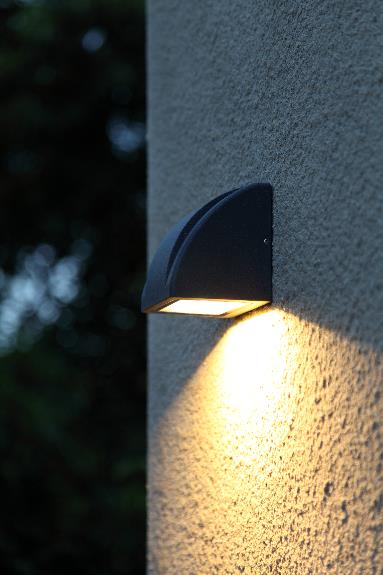 DA-WHITEMAPLE  LED - Image 3