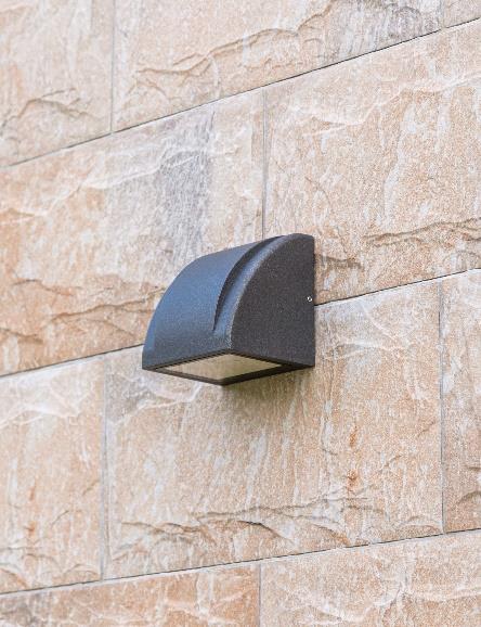 DA-WHITEMAPLE  LED - Image 4