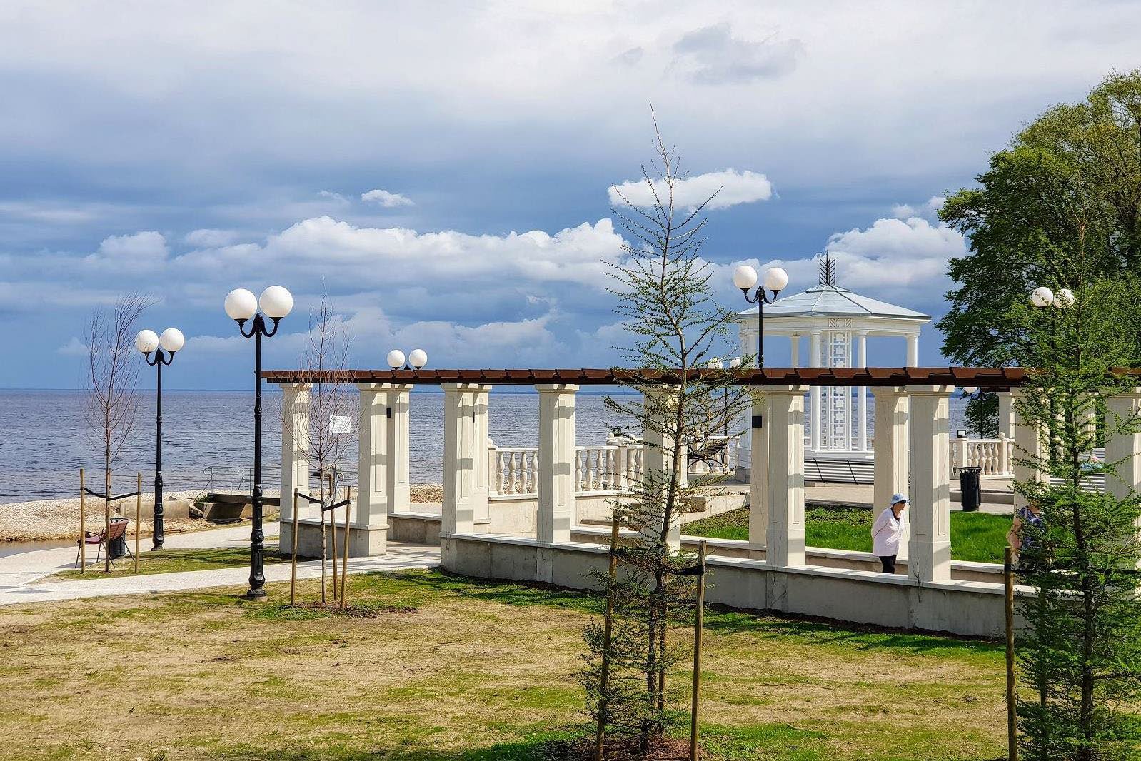 DA-CHAMPIONOAK - Image 7