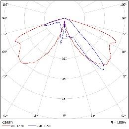 DA-COFFEEPLANT - Image 6