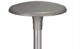 DA-COMMONDAISY - Image 2