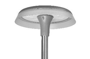 DA-COMMONDAISY - Image 4