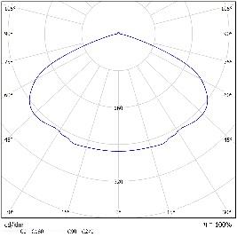 DA-COMMONDAISY - Image 7