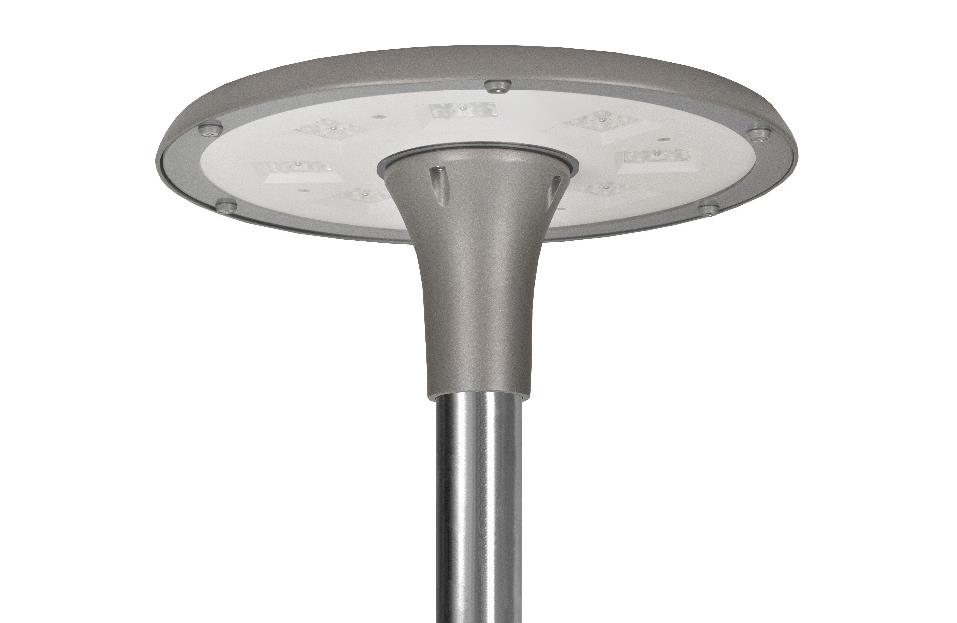 DA-COMMONDAISY - Image 15