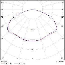 DA-CORNTHISTLE - Image 8