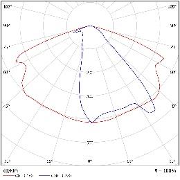 DA-CORNTHISTLE - Image 11
