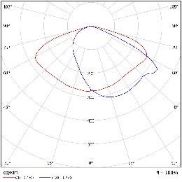 DA-CORNTHISTLE - Image 13